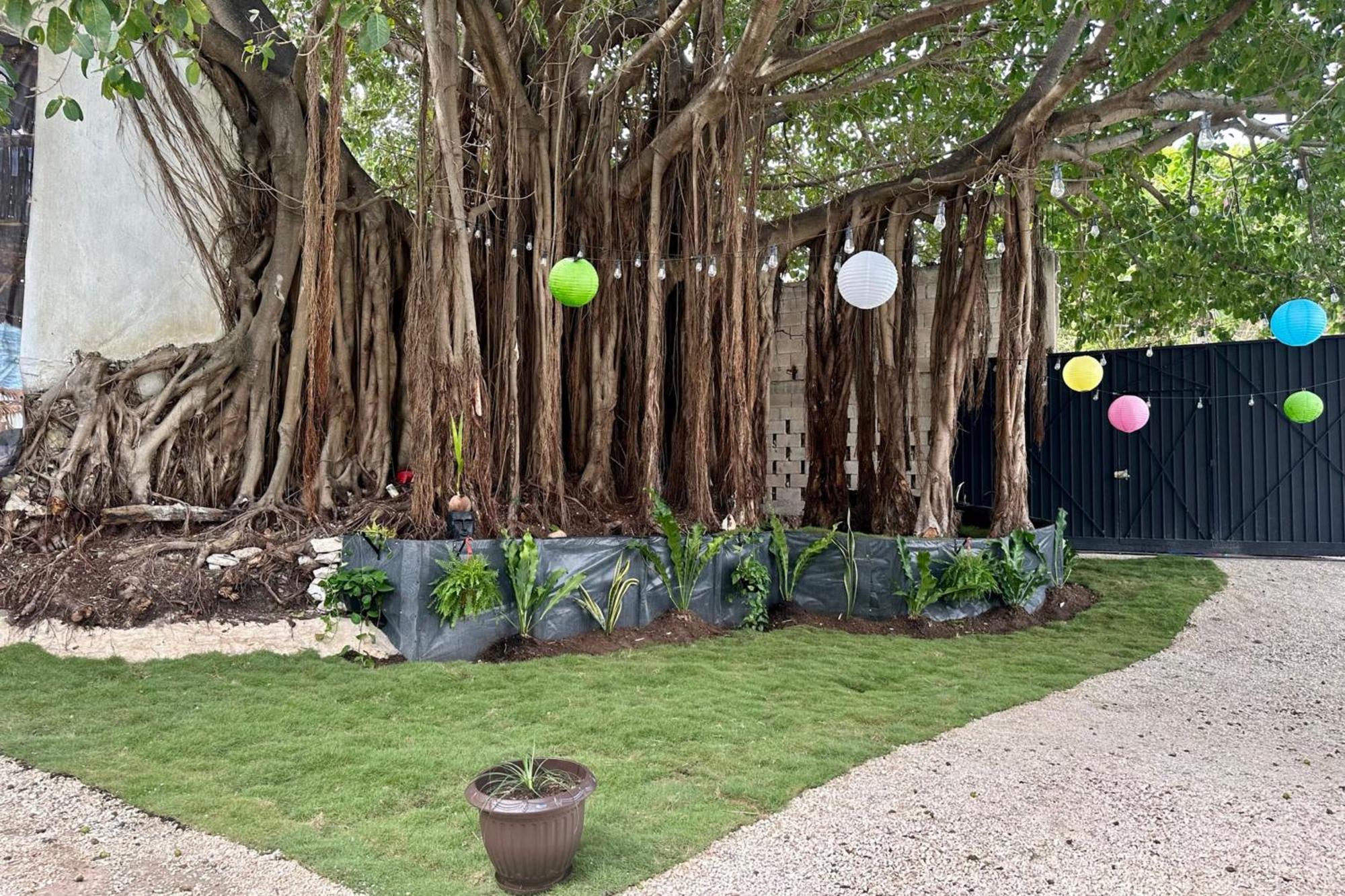 La Quinta Caribena Apartment Playa del Carmen Exterior photo